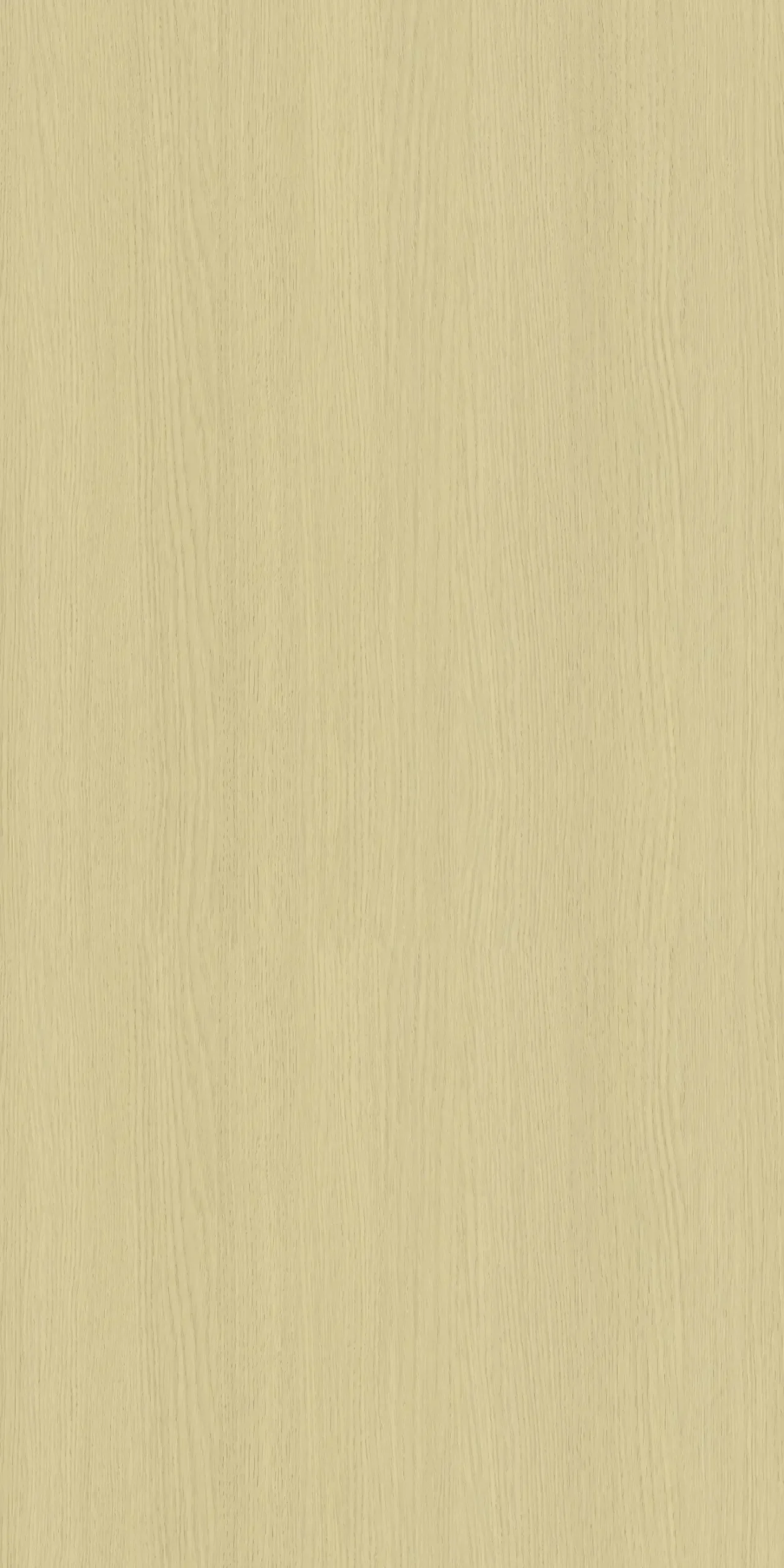 WL3287H – GALILEA OAK