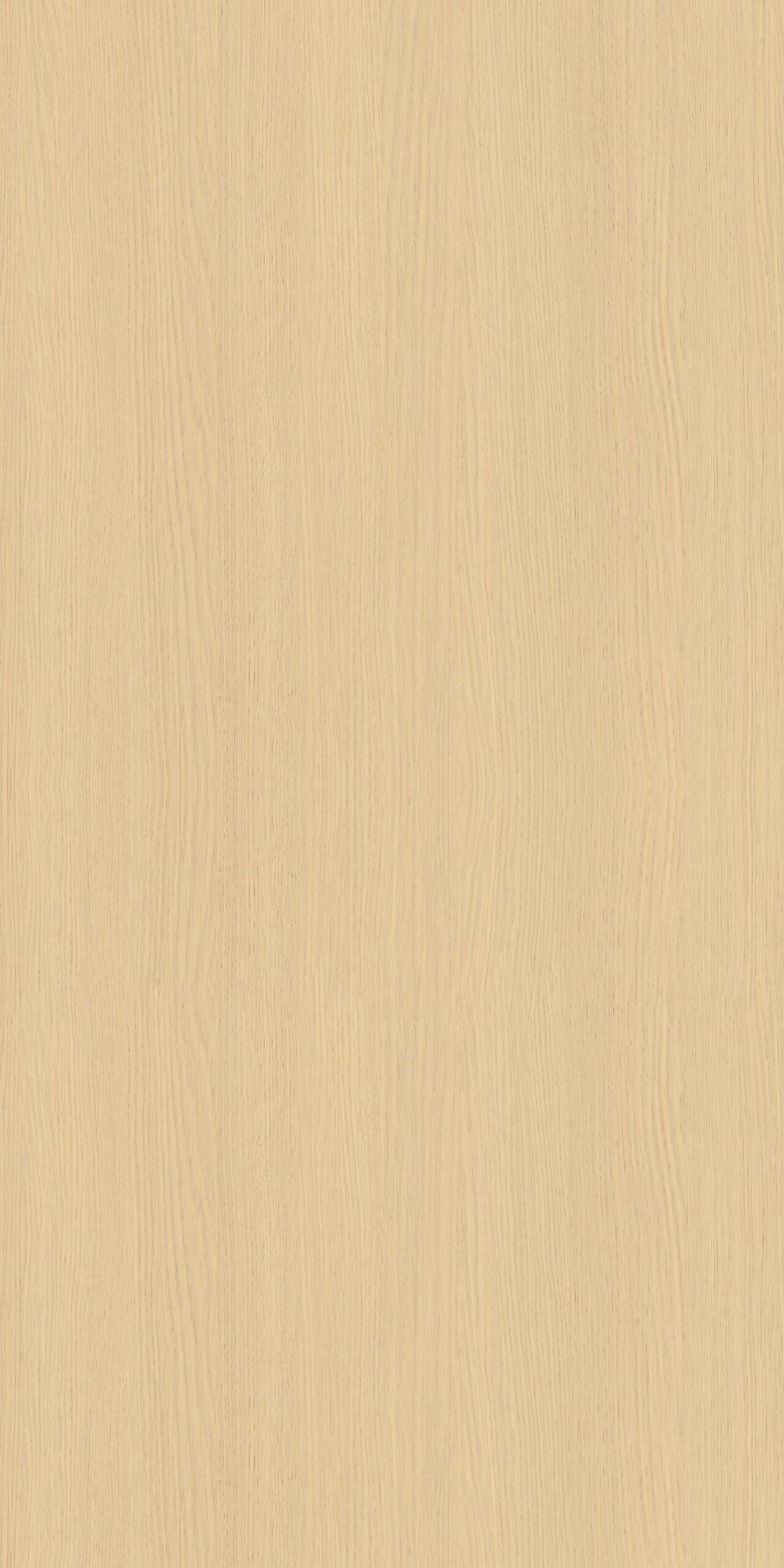 WL3288H – NATURAL GALILEA OAK