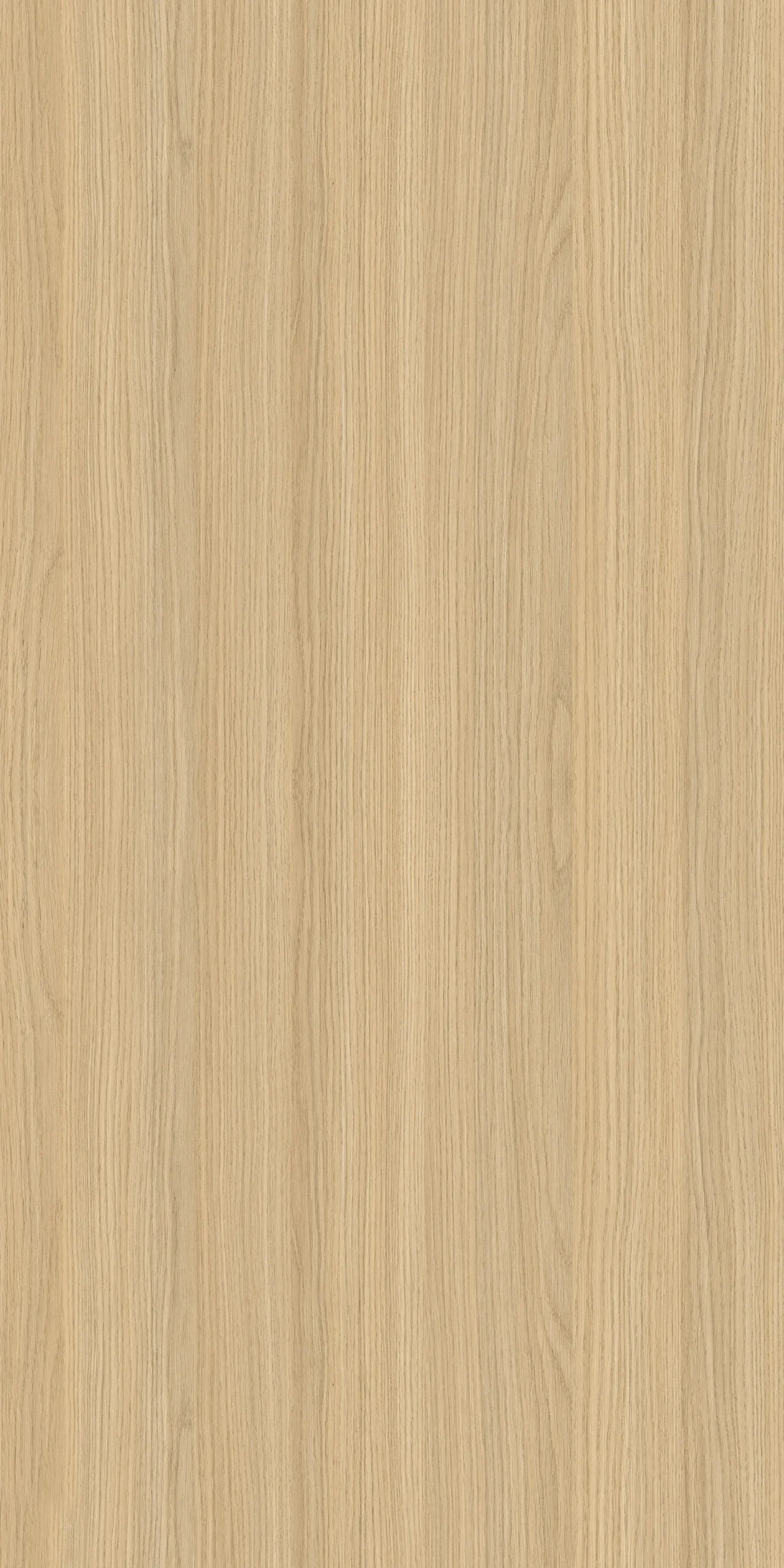 WL3771K – Natural Thadeo Elm