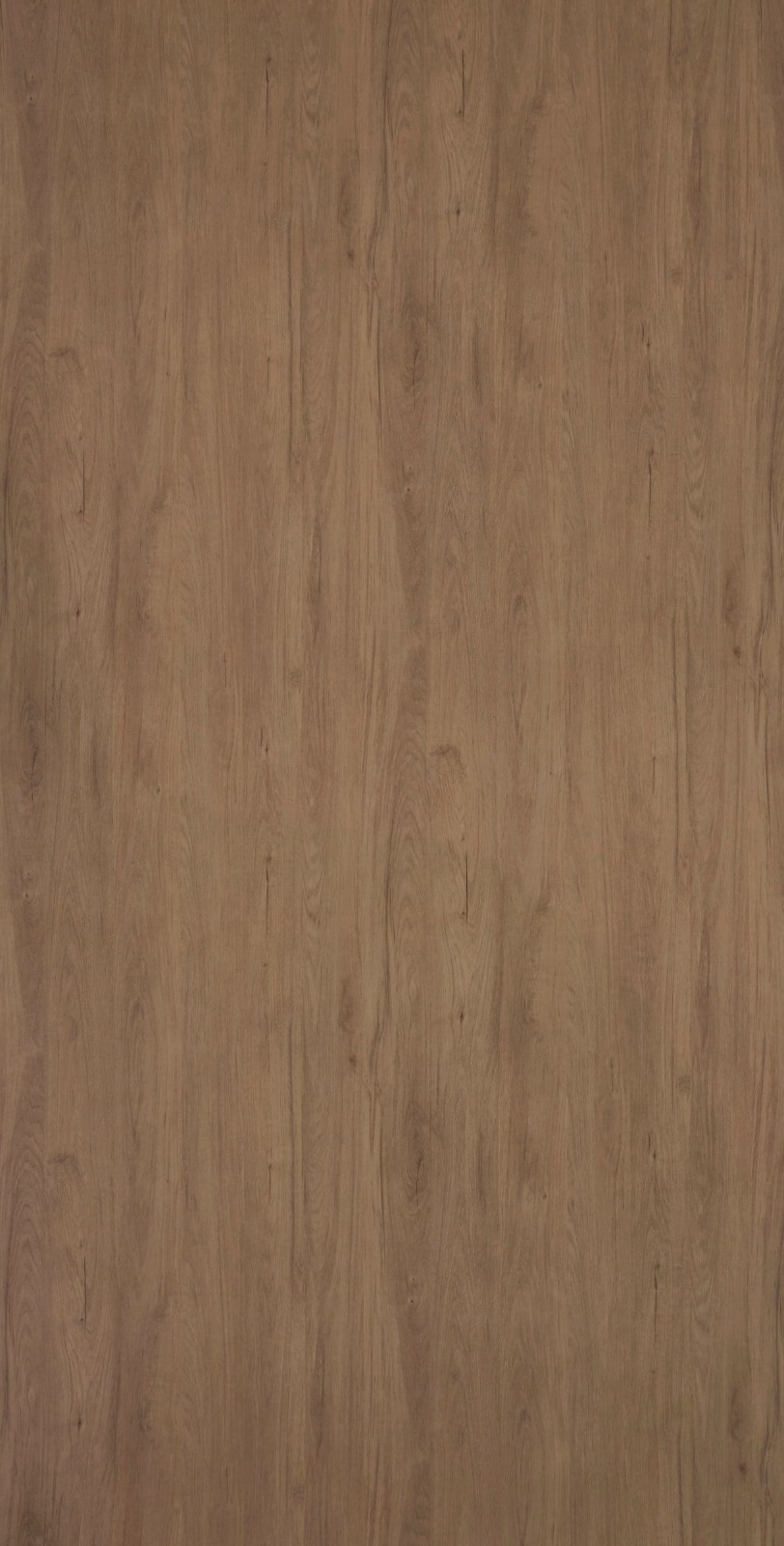 WL 3601 D – Eira Oak