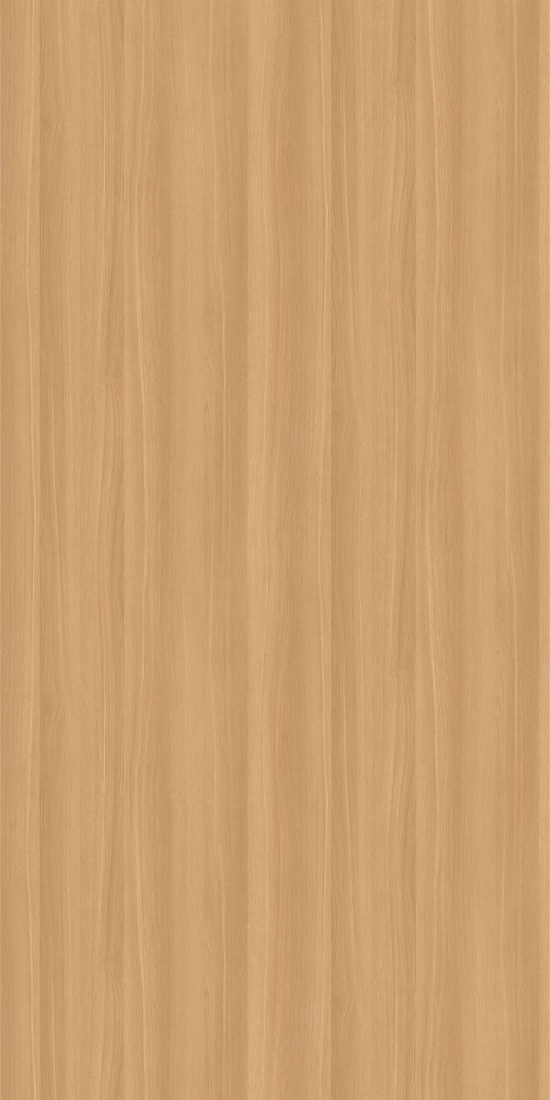 WL 3904 B – Mirel Elm